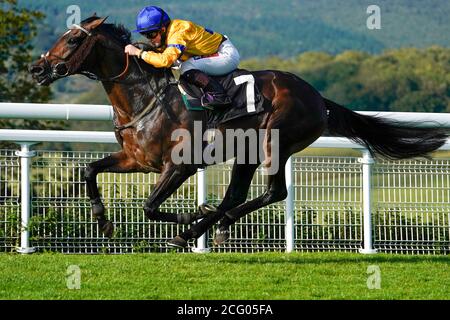 Stag Horn guidato da jockey Hollie Doyle (a sinistra) vince il Royal Sussex Regiment handicap presso l'ippodromo di Goodwood, Chichester. Foto Stock