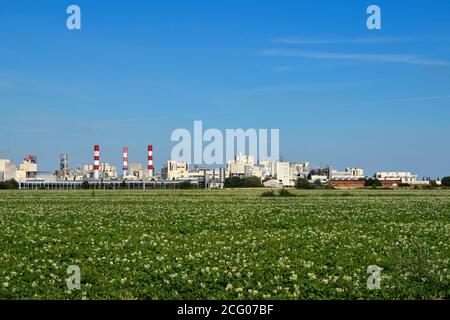 Francia, Pas de Calais, Lestrem, Grand Place, fabbrica roquette fr?res Foto Stock