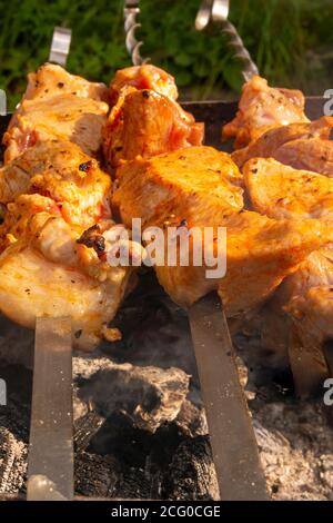 Kebab gustosi e profumati sulla griglia Foto Stock