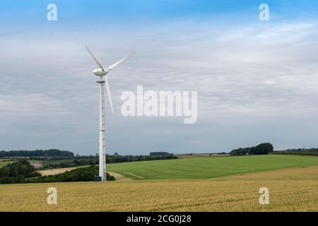 Campo di maturazione del grano con una turbina eolica tra il raccolto. North Yorkshire, Regno Unito. Foto Stock