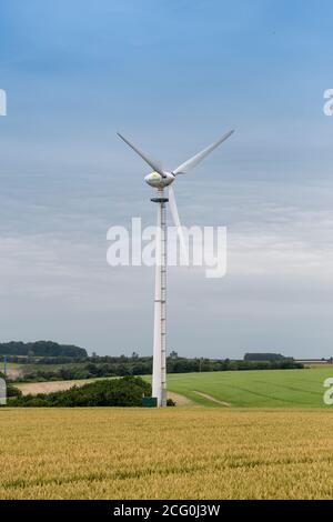 Campo di maturazione del grano con una turbina eolica tra il raccolto. North Yorkshire, Regno Unito. Foto Stock