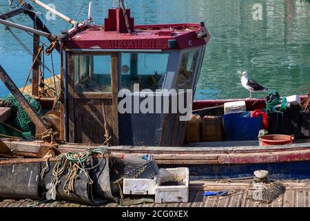 Un primo piano di una barca da pesca o di un peschereccio da traino con un grande gabbiano in piedi sulla barca Foto Stock
