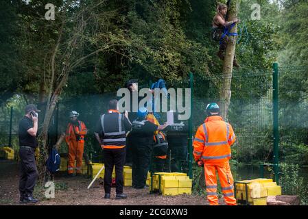 Denham, Regno Unito. 8 Settembre 2020. Le guardie di sicurezza HS2 e gli agenti di polizia del National Eviction Team monitorano un attivista della ribellione HS2 che arrampica un albero nel Denham Country Park per cercare di proteggerlo dai lavori per il collegamento ferroviario ad alta velocità HS2. Gli attivisti anti-HS2 continuano a cercare di prevenire o ritardare i lavori sul controverso progetto £106 miliardi per il quale la fase di costruzione è stata annunciata il 4 settembre da una serie di campi di protezione basati lungo il percorso della linea tra Londra e Birmingham. Credit: Mark Kerrison/Alamy Live News Foto Stock