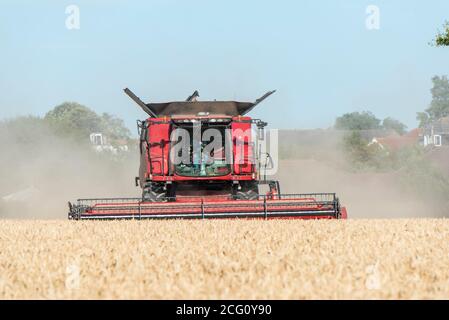 Mietitrebbia che taglia il grano. Hayling Island, Hampshire Regno Unito Foto Stock