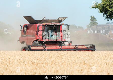 Mietitrebbia che taglia il grano. Hayling Island, Hampshire Regno Unito Foto Stock