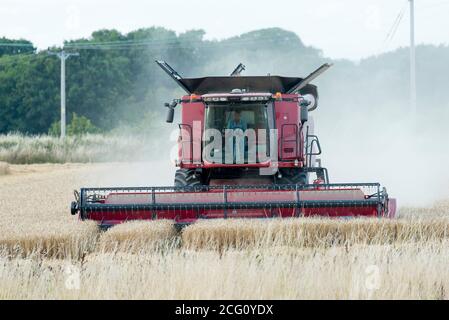 Mietitrebbia che taglia il grano. Hayling Island, Hampshire Regno Unito Foto Stock