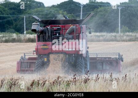 Mietitrebbia che taglia il grano. Hayling Island, Hampshire Regno Unito Foto Stock