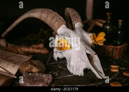 Gabbiano di capra bianco con corna, fiori, libro aperto vecchio, candele sul tavolo delle streghe. Concetto occulto, esoterico, divinazione e wicca. Halloween, giorno della dea Foto Stock