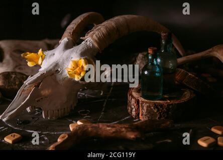 Gabbiano di capra bianco con corna, fiori, libro aperto vecchio, candele sul tavolo delle streghe. Concetto occulto, esoterico, divinazione e wicca. Halloween, giorno della dea Foto Stock