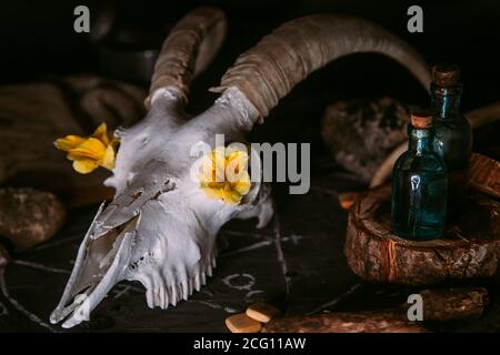 Gabbiano di capra bianco con corna, fiori, libro aperto vecchio, candele sul tavolo delle streghe. Concetto occulto, esoterico, divinazione e wicca. Halloween, giorno della dea Foto Stock