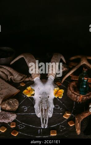 Gabbiano di capra bianco con corna, fiori, libro aperto vecchio, candele sul tavolo delle streghe. Concetto occulto, esoterico, divinazione e wicca. Halloween, giorno della dea Foto Stock