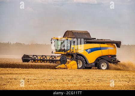 Mietitrebbia moderna con un tosaerba grande in un campo di grano. Lavori agricoli stagionali Foto Stock