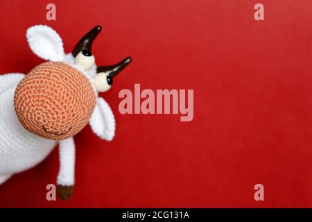 toro giocattolo bianco lavorato a maglia su sfondo rosso, biglietto d'auguri di Capodanno con spazio libero per la copia del testo. Anno cinese del toro Foto Stock