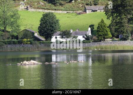 Lake District - acqua Rydal con Inghilterra lato Paese Foto Stock