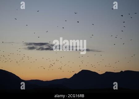 Dawn Dusky mattina con il sole è impostato per alzarsi Foto Stock