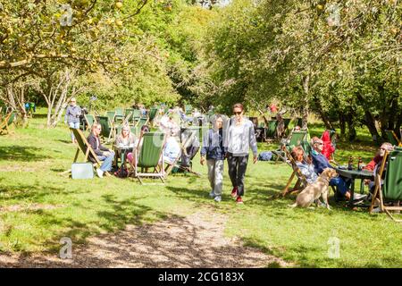 Le persone che godono del sole estivo mangiano e bevono all'aperto nel The Orchard Tea Gardens at Grantchester Meadows sul fiume CAM Cambridgeshire Foto Stock