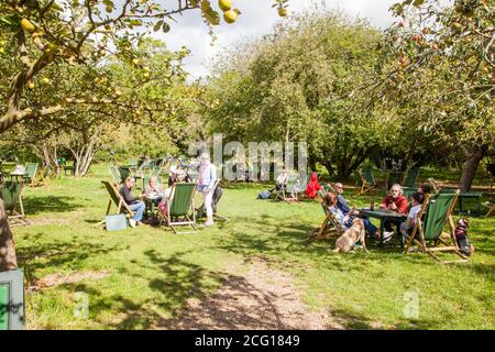 Le persone che godono del sole estivo mangiano e bevono all'aperto nel The Orchard Tea Gardens at Grantchester Meadows sul fiume CAM Cambridgeshire Foto Stock