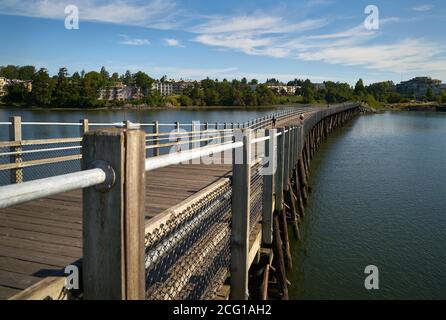 Galoppante Goose Trail Bridge Victoria. Il Galloping Goose Trail è un percorso multiuso di 55 chilometri tra Sidney e Sooke sulla parte meridionale di Vancouver Isla Foto Stock