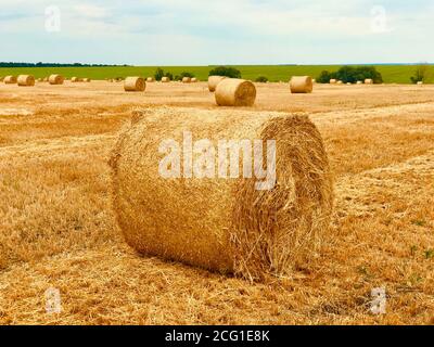 Paesaggi rurali di Ucraina, Europa. Rotoli di fieno ritorto sul campo di grano raccolto. Foto Stock