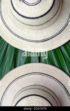 Vista dall'alto di due cappelli Panama con sfondo a foglia Foto Stock