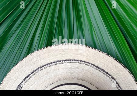 I cappelli Panamaniani sono fatti a mano utilizzando una varietà di tecniche per lavorare le fibre naturali della palma di toquilla 'Carludovica palmata'. Foto Stock