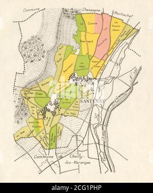 BORGOGNA BORGOGNA BORGOGNA BORGOGNA MAPPA DEI VIGNETI Côte de Beaune - Santenay RODIER 1948 vecchi Foto Stock