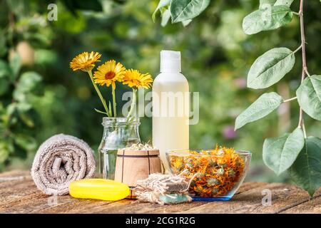 Prodotti per il benessere e gli accessori. Vaso di vetro con fiori di calendula, sapone, bottiglia con estratto di calendula, ciotola di legno secco con fiori di camomilla e rimorchio Foto Stock