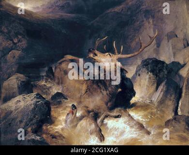 Landseer Sir Edwin Henry - Deer e Deer Hounds in A Mountain Torrent - British School - 19 ° secolo Foto Stock