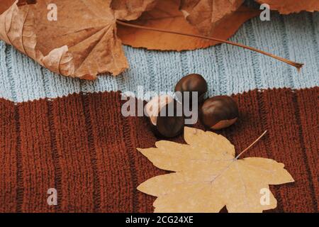 sfondo autunno stagionale con foglie e castagne Foto Stock