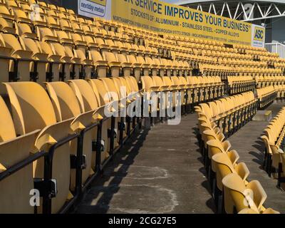 File di posti vuoti gialli presso il County Ground, sede del Northamptonshire, County Cricket Club, Regno Unito Foto Stock