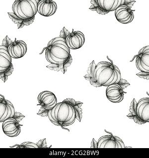 zucca sfondo senza cuciture, zucche d'inchiostro vintage disegno per sfondi, tessuto o avvolgimento, sfondo autunno Foto Stock