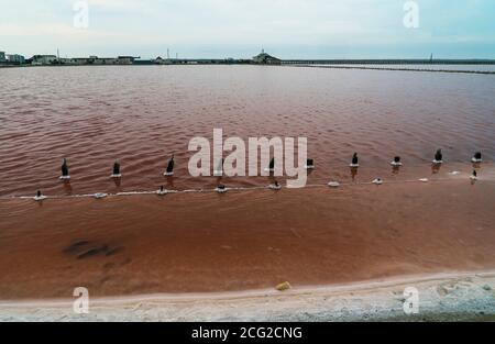 Bellissimo lago rosa Sasyk-Sivash nella parte occidentale del Penisola di Crimea Foto Stock