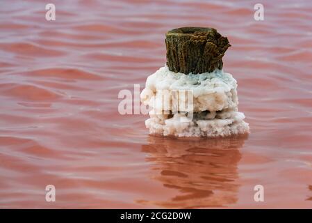 Bellissimo lago rosa Sasyk-Sivash nella parte occidentale del Penisola di Crimea Foto Stock