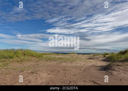 Dietro le Dune nella zona nascosta di Tentsmuir Point, con il Grass di Marram che copre le Dune e un grande cielo sopra. Foto Stock