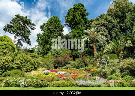 Italia. Lombardia. Lago di Como. Villaggio di Tremezzo. Villa Carlotta, costruita nel 1690 dal banchiere milanese Giorgio II Clerici. I giardini botanici Foto Stock