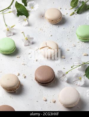 Vaniglia, pistacchio e cioccolato Macaron francesi con fiori su sfondo bianco. Dessert francese. Foto Stock