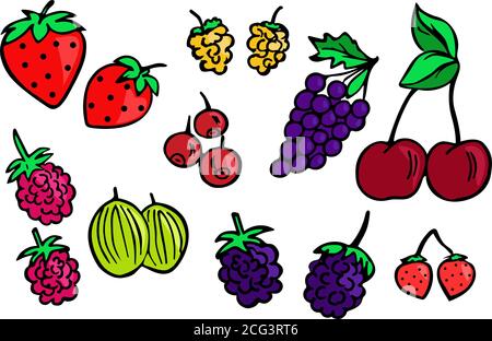 Set di frutti di bosco lamponi ciliegie mirtilli fragole fragole bacche nuvoloso uva mirtilli more. Bacche vettoriali su sfondo bianco. Foto Stock