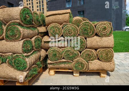 Pallet con erba di zerbino. I rotoli di zolla freschi impilati per il nuovo prato erboso in zona residenziale. Foto Stock