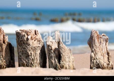 Costa del Mar Baltico - chiocchimento in legno. Foto Stock