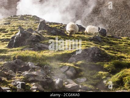 Landmannalaugar, una delle destinazioni più famose degli Ighlands islandesi Foto Stock