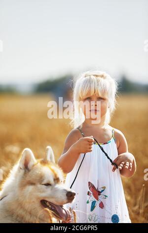 Ragazza piccola felice con un cane Husky che gioca nel campo di grano al tramonto Foto Stock