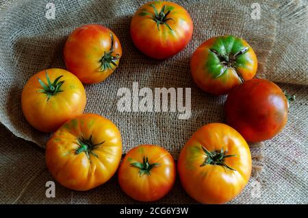 I pomodori maturi di varie varietà sono disposti in cerchio sul burlap. Dimostrazione della raccolta delle verdure autunnali. Il risultato del lavoro agricolo. Ha Foto Stock