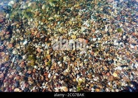 piccole pietre in acqua di mare, ciottoli di mare sotto l'acqua Foto Stock