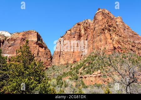 Splendido scenario nel Parco Nazionale di Zion, situato negli Stati Uniti, nello Utah sudoccidentale. Foto Stock