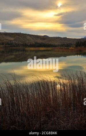 Immagine verticale del lago Talbot nel Jasper National Park con luce calda e soffusa da sera. Foto Stock