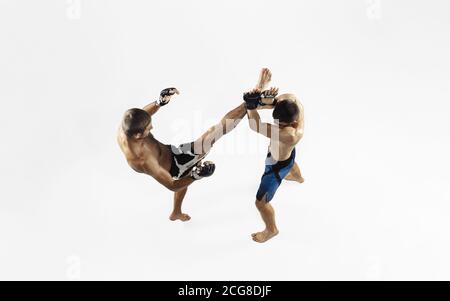 Due combattenti MMA professionisti pugilato isolato su sfondo bianco studio. Vista dall'alto di una coppia di atleti muscolari. Sport, stile di vita sano, competizione, dinamica e movimento, concetto di azione. CopySpace. Foto Stock
