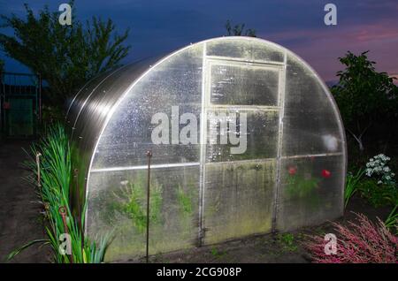 Assegnazioni al tramonto - tunnel di polietilene come serra di plastica in un'assegnazione con verdure in crescita al tramonto. Foto Stock