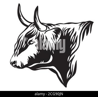 Immagine vettoriale dell'icona della testa del toro di colore nero isolata in bianco. Immagine modello di incisione del bestiame delle Highland. Elemento modello di progetto per posta Illustrazione Vettoriale