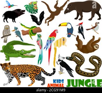 insieme vettoriale di animali carini giungla bambini Illustrazione Vettoriale