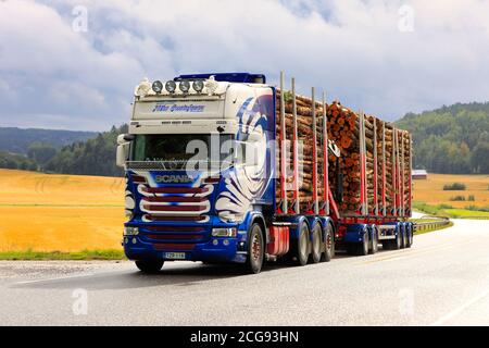 Il camion di tronchi Scania personalizzato di Kuljetusliike Niko Gustafsson tira il carico di tronchi in salita in autostrada in caso di pioggia. Salo, Finlandia. 4 settembre 2020. Foto Stock